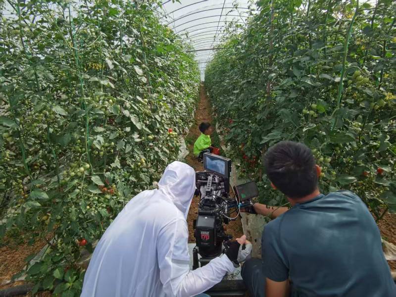 尖扎县产品宣传视频拍摄公司进阶指南，助力品牌抢占传播高地